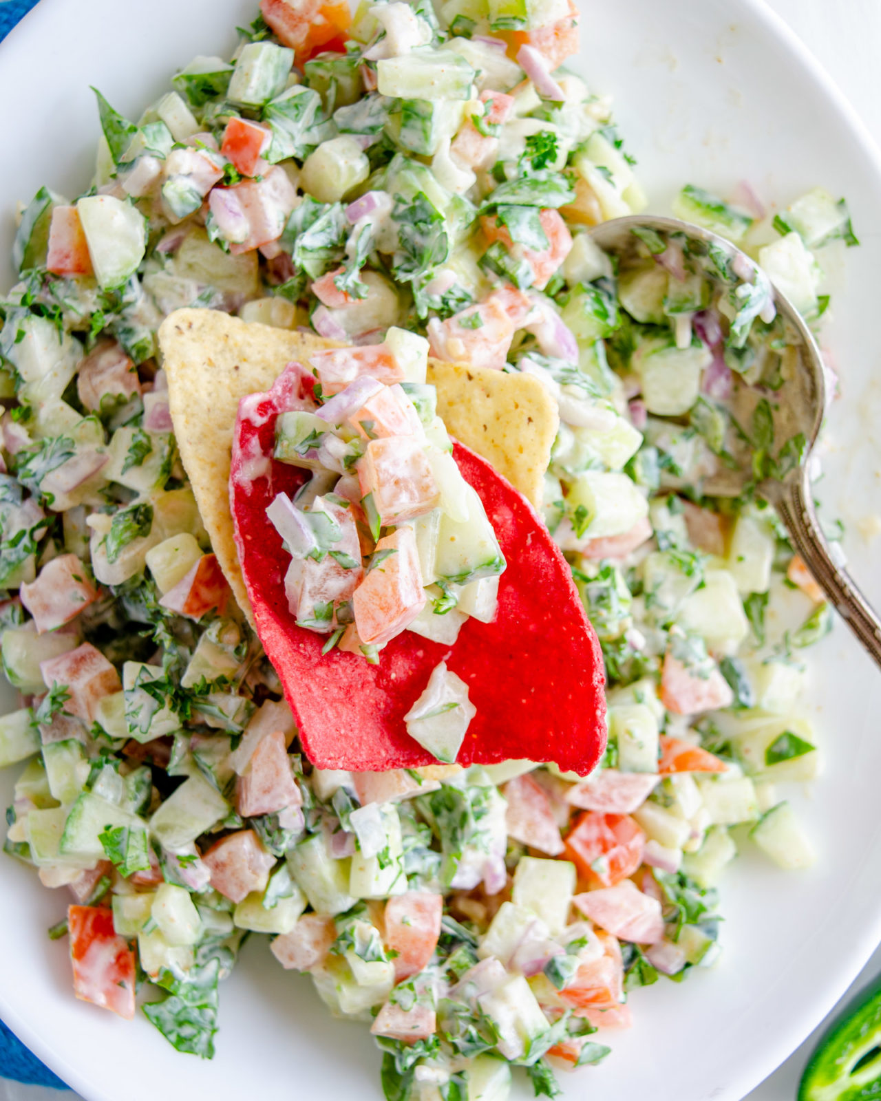 Cucumber Salsa on red tortilla chip - food photography